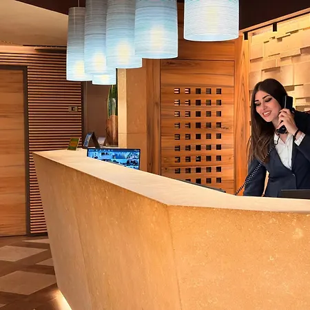 Alevic Hotel Sirmione-2